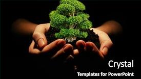  Presentation with seed growing - Amazing PPT theme having seed growing - small tree in hands isolated backdrop and a black colored foreground