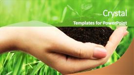  Presentation with seed growing - Colorful slide set enhanced with seed growing - young plant in hands backdrop and a seafoam green colored foreground