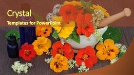  Presentation with seed oil - Cool new slide deck with seed heads with essential oil backdrop and a tawny brown colored foreground