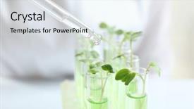  Presentation with pipette - Cool new theme with agriculture drip water - drop dripping from pipette backdrop and a sky blue colored foreground