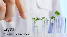  Presentation with pouring water - Theme having germination - female hand pouring water background and a light gray colored foreground