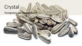  Presentation with seed - PPT layouts consisting of seed isolated on white background background and a soft green colored foreground