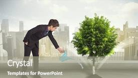  Presentation with green city - Colorful PPT theme enhanced with seed leaves globe - businessman watering green tree backdrop and a  colored foreground