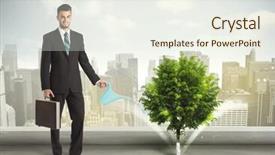  Presentation with green city - Cool new slide set with seed leaves globe - businessman watering green tree backdrop and a  colored foreground