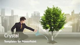  Presentation with green city - Cool new slides with seed leaves globe - businessman watering green tree backdrop and a  colored foreground