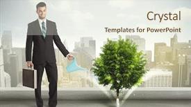  Presentation with green city - PPT theme enhanced with seed leaves globe - businessman watering green tree background and a sky blue colored foreground