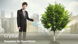  Presentation with green city - Colorful presentation theme enhanced with seed leaves globe - businessman watering green tree backdrop and a gray colored foreground