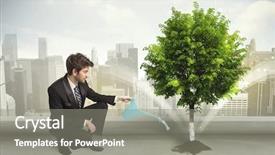  Presentation with green city - Audience pleasing slide deck consisting of seed leaves globe - businessman watering green tree backdrop and a gray colored foreground