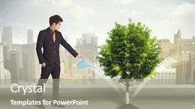 Presentation with green city - Amazing theme having seed leaves globe - businessman watering green tree backdrop and a gray colored foreground