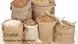  Presentation with grains - PPT theme with seed meal and grains background and a coral colored foreground