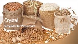  Presentation with grains - PPT layouts enhanced with seed meal and grains background and a coral colored foreground