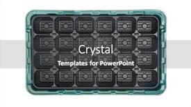  Presentation with module - PPT theme having seed-module-empty-tray background and a dark gray colored foreground