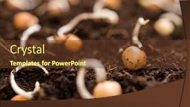  Presentation with seed - Slides enhanced with seed-planting-on-the-soil background and a tawny brown colored foreground