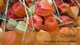  Presentation with lantern chinese - PPT layouts featuring background of bright chinese lantern background and a gold colored foreground