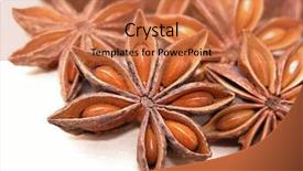  Presentation with stars - Presentation theme having close-ups of anise stars background and a coral colored foreground