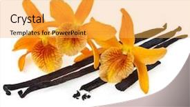  Presentation with vanilla - Slide deck consisting of dendrobium - orchid with vanilla beans isolated background and a yellow colored foreground