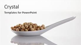  Presentation with soy bean - Presentation design having seed soybean - stock image of the spoon background and a white colored foreground
