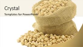  Presentation with chick and milk - Colorful presentation enhanced with seed storage protein - dried chick peas backdrop and a  colored foreground