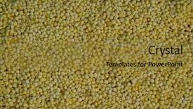  Presentation with storage - Amazing presentation theme having seed storage protein - green bean background backdrop and a  colored foreground