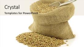  Presentation with white green - Amazing PPT layouts having seed storage protein - green dried lentils backdrop and a  colored foreground