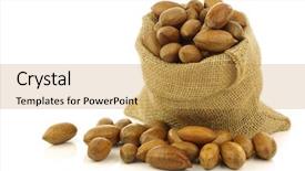  Presentation with nuts bolts nuts and bolts - Colorful presentation theme enhanced with seed storage protein - tasty pecan nuts backdrop and a  colored foreground