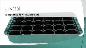  Presentation with black seed - Slide deck featuring seed-tray-module-for-sowing background and a white colored foreground