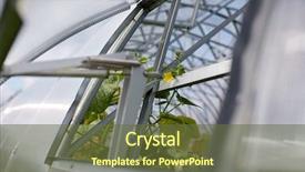  Presentation with organic farming and cucumber - Colorful PPT theme enhanced with seedbed - gardening and farming concept backdrop and a tawny brown colored foreground