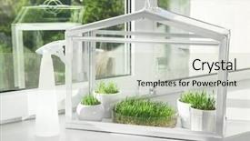  Presentation with greenhouse - Theme featuring seedbed - greenhouse with wheat grass background and a soft green colored foreground