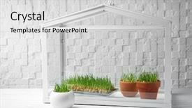  Presentation with greenhouse - PPT layouts consisting of seedbed - greenhouse with wheat grass background and a light gray colored foreground