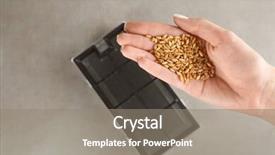  Presentation with concert symphony woman dancing in grass - Colorful theme enhanced with seedbed - woman holding wheat grass seeds backdrop and a  colored foreground