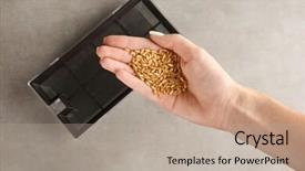  Presentation with concert symphony woman dancing in grass - Slides with seedbed - woman holding wheat grass seeds background and a  colored foreground