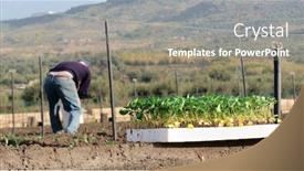  Presentation with agriculture field - Beautiful PPT theme featuring seedbed-with-seedlings-for-agriculture backdrop and a gray colored foreground