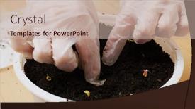  Presentation with vegetable garden - Presentation design enhanced with seeding-for-vegetable-at-home background and a  colored foreground