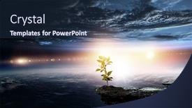  Presentation with stone - Beautiful theme featuring seeding-plant-on-stone-ground backdrop and a navy blue colored foreground