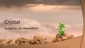  Presentation with new birth - Colorful slide deck enhanced with seedling desert - birth of new life backdrop and a soft green colored foreground