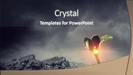  Presentation with new birth - Amazing slides having seedling desert - birth of new life backdrop and a dark gray colored foreground