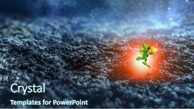  Presentation with new birth - Colorful slides enhanced with seedling desert - birth of new life backdrop and a navy blue colored foreground