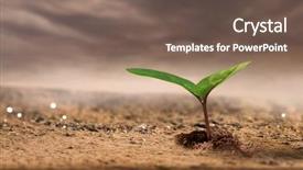  Presentation with new birth - Amazing PPT layouts having seedling desert - birth of new life backdrop and a tawny brown colored foreground