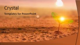  Presentation with new birth - PPT theme enhanced with seedling desert - birth of new life background and a coral colored foreground