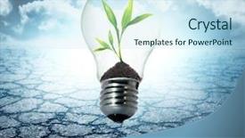  Presentation with friendly - Presentation having seedling desert - environment friendly bulb background and a sky blue colored foreground