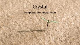  Presentation with bud - PPT theme enhanced with seedling desert - green bud sprout background and a lemonade colored foreground