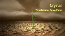  Presentation with dead plant - Cool new presentation theme with seedling desert - green plant growing trough dead backdrop and a tawny brown colored foreground