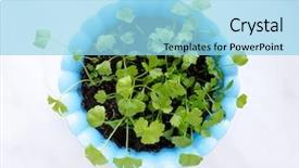  Presentation with earth - Beautiful PPT layouts featuring seedling desert - leaf and earth isolated backdrop and a light blue colored foreground