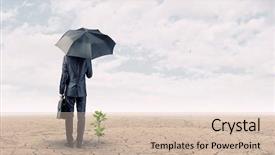  Presentation with seedling - PPT theme featuring seedling desert - rear view of businessman background and a soft green colored foreground