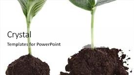  Presentation with seedling - Colorful slides enhanced with desk of decision maker side backdrop and a light gray colored foreground