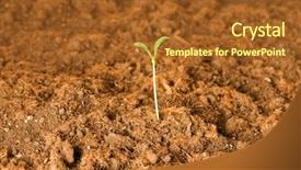  Presentation with seedling - Colorful PPT layouts enhanced with seedling growing out of soil backdrop and a  colored foreground