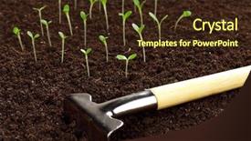  Presentation with seedling - Slide deck featuring seedling growing out of soil background and a wine colored foreground