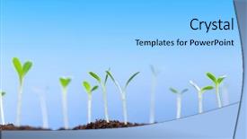  Presentation with seedling - Presentation with seedling growing out of soil background and a light gray colored foreground