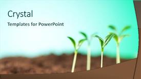  Presentation with seedling - Theme with seedling illustrating concept of new background and a cool aqua colored foreground