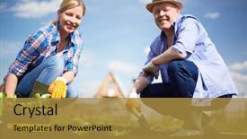  Presentation with seedling - Cool new slide deck with seedling sprouts in the garden backdrop and a gold colored foreground